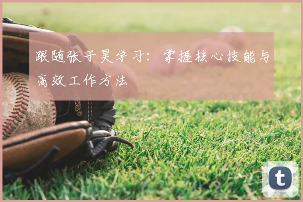 跟随张子昊学习:掌握核心技能与高效工作方法