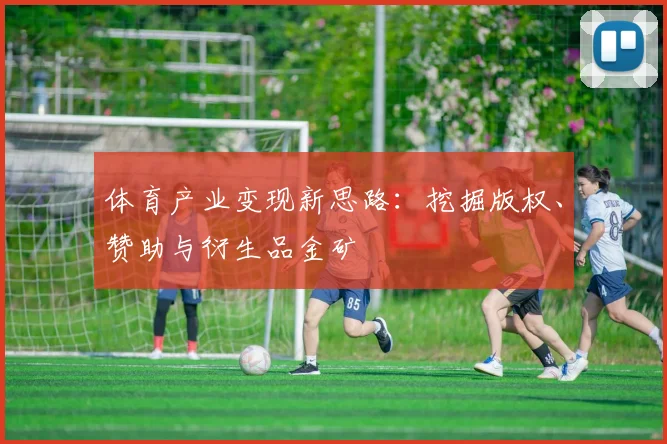 体育产业变现新思路:挖掘版权、赞助与衍生品金矿