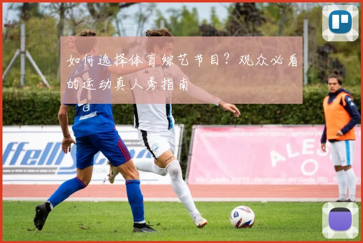 如何选择体育综艺节目？观众必看的运动真人秀指南